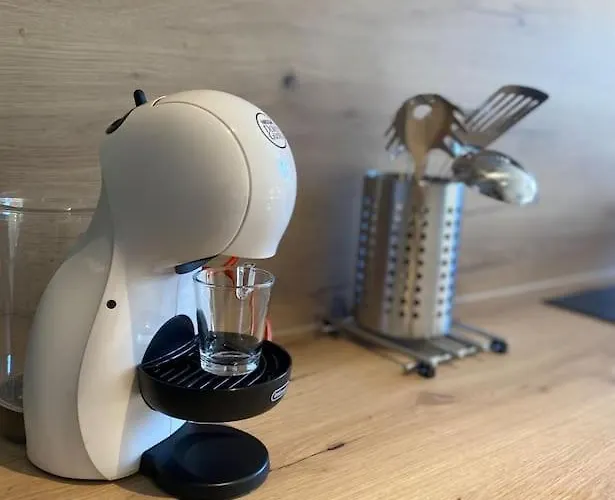 شقة Le Cocon De La Gare De غرونوبل