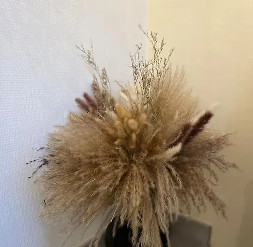 Le Cocon De La Gare De * غرونوبل